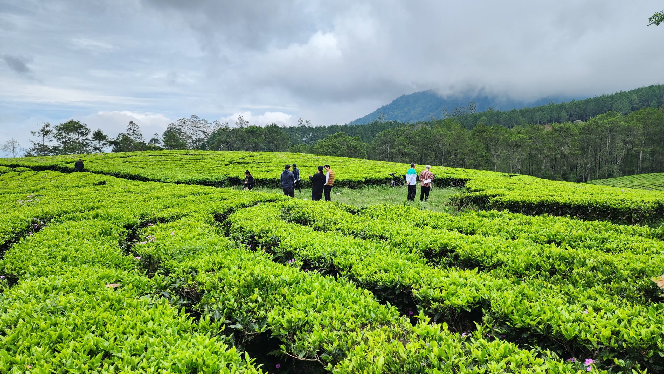 Jasa Pembuatan Video Sosialisasi Bank Mandiri Inhealth oleh Anril Film