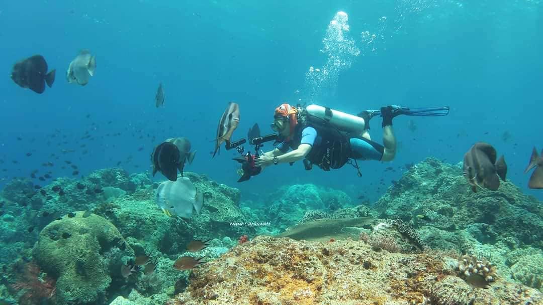 Jasa Video Cinematic Underwater Jasa VIdeo Cinematic Underwater