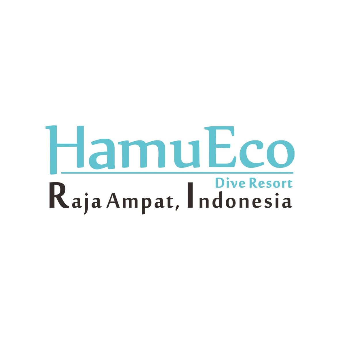 logo client anril film drone fpv